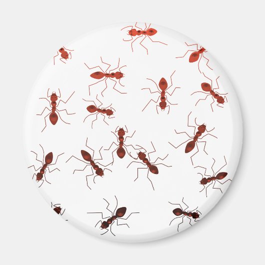 Aimant Les antiques de la fourmi. (Devant)