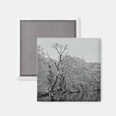 Aimant Les arbres, à l'eau (Recto/Verso)