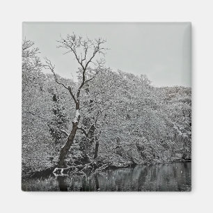 Aimant Les arbres, à l'eau