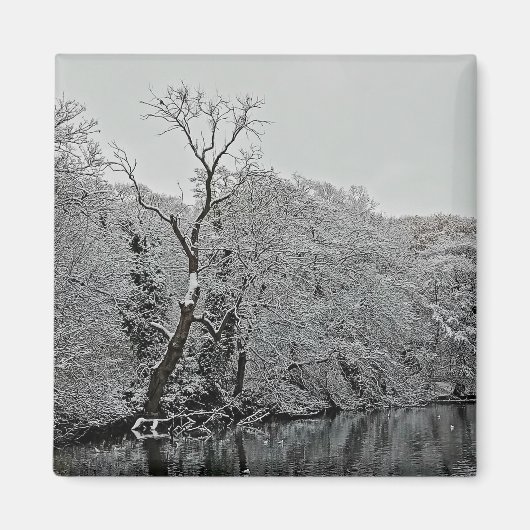 Aimant Les arbres, à l'eau (Devant)