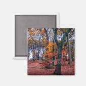 Aimant Les arbres d'automne (Recto/Verso)