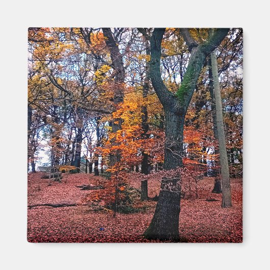 Aimant Les arbres d'automne (Devant)
