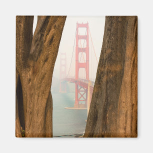Aimant Les arbres de golden gate bridge   de donnent sur