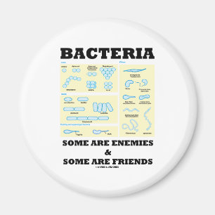 Aimant Les bactéries certains sont des ennemis et