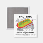 Aimant Les bactéries ne peuvent pas vivre avec certaines  (Recto/Verso)