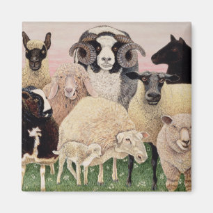 Aimant Les bergers enchantent