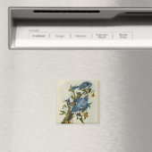 Aimant Les Blue Jays d'Audubon (In Situ (Lave-vaisselle))