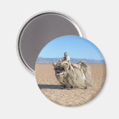 Aimant Les bombes à gaz de Banthapug (Recto/Verso)