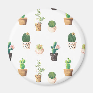 Aimant Les cactus succulents du désert vert dans les pot