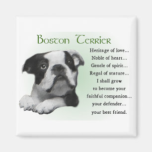 Aimant Les cadeaux de Boston Terrier
