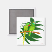 Aimant Les Cadeaux De Perroquets Verts (Recto/Verso)