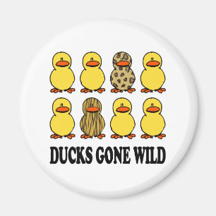 Aimant Les canards sont devenus sauvages
