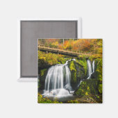 Aimant Les cascades | Cascades de Triberg, Allemagne (Recto/Verso)
