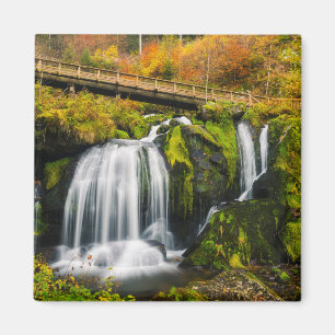 Aimant Les cascades Cascades de Triberg, Allemagne