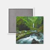 Aimant Les cascades | Grotto Falls, Oregon (Recto/Verso)
