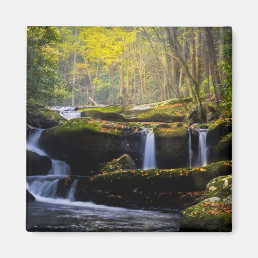 Aimant Les cascades | Parc national de Great Smoky Mounta (Devant)