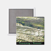 Aimant Les célèbres terrasses de riz yuanyang - Yunnan, C (Recto/Verso)