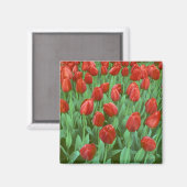 Aimant Les champs de tulipes fleurissent au printemps. (Recto/Verso)