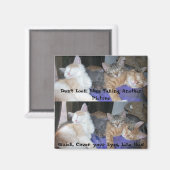 Aimant Les chatons -aka Les garçons - photos amusantes (Recto/Verso)