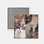 Aimant Les chats (Recto/Verso)