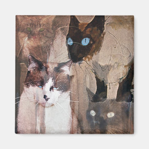 Aimant Les chats