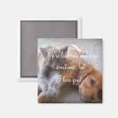 Aimant Les chats et les chiens aiment l'aimant (Recto/Verso)