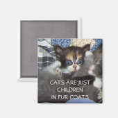 AIMANT LES CHATS NE SONT QUE DES ENFANTS DANS LES VÊTEMEN (Recto/Verso)