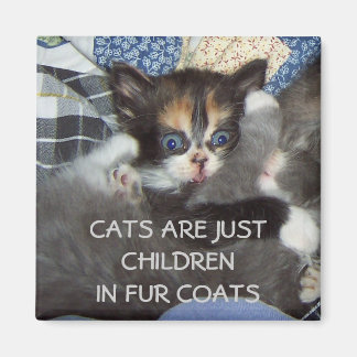 AIMANT LES CHATS NE SONT QUE DES ENFANTS DANS LES VÊTEMEN