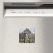 Aimant Les Chevaux Sauvages (In Situ (Lave-vaisselle))