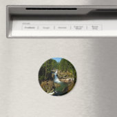 Aimant Les chutes d'argent au parc national du Mont Raini (In Situ (Lave-vaisselle))