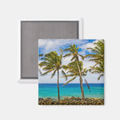 Aimant Les cocotiers (Cocos nucifera) se balancent dans (Recto/Verso)