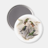 Aimant Les colibris en vol (Recto/Verso)