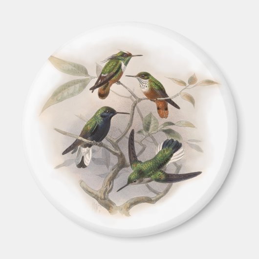 Aimant Les colibris en vol (Devant)