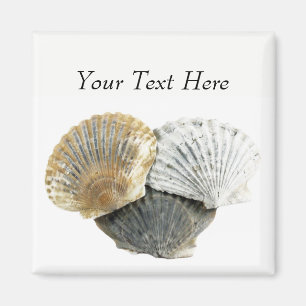 Aimant Les coquilles de palourde ont personnalisé le