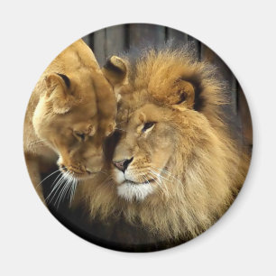 Aimant Les couples heureux de lion