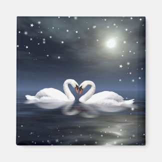 Aimant Les cygnes qui aiment