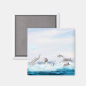 Aimant Les dauphins qui sautent (Recto/Verso)