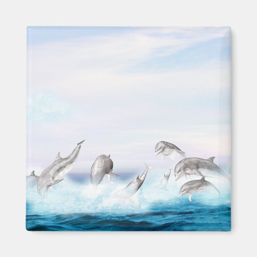 Aimant Les dauphins qui sautent (Devant)
