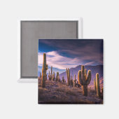 Aimant Les déserts | Cactus Paysage Argentine (Recto/Verso)