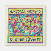 Aimant Les droits des animaux ont raison|Maintenant Paste (Devant)