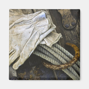 Aimant Les Etats-Unis, Nouveau Mexique, Santa Fe. Plan