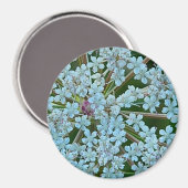 Aimant Les fleurs de dentelle de la reine Anne (Recto/Verso)