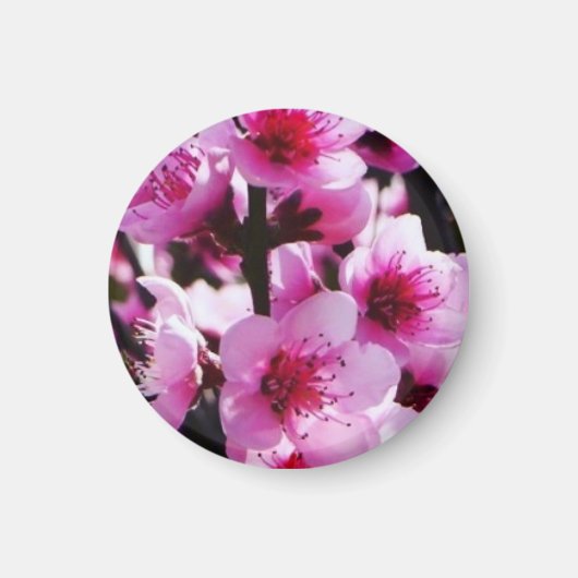 Aimant Les fleurs du printemps (Devant)
