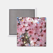 Aimant Les fleurs roses sur l'arbre à fleurs ornemental (Recto/Verso)