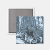 Aimant Les grands arbres de Mariposa Grove (Recto/Verso)