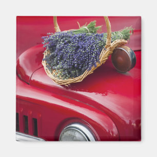 Aimant Les grappes de lavande reposent sur un vieux pick-