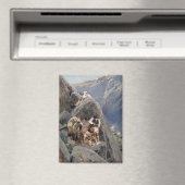 Aimant Les guerriers d'Apache : une embuscade sur la cava (In Situ (Lave-vaisselle))