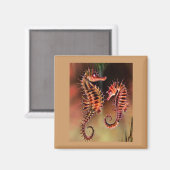 Aimant Les hippocampes colorés (Recto/Verso)