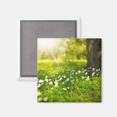 Aimant Les Joys du printemps (Recto/Verso)