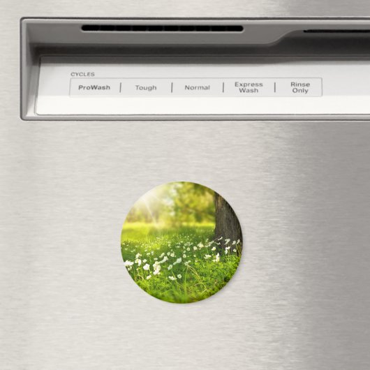 Aimant Les Joys du printemps (In Situ (Lave-vaisselle))